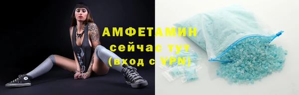 прущая мука Вяземский