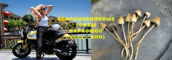 стафф Вязники