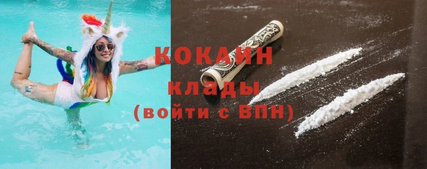 прущая мука Вяземский