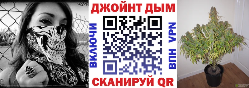 Каннабис планчик Константиновск